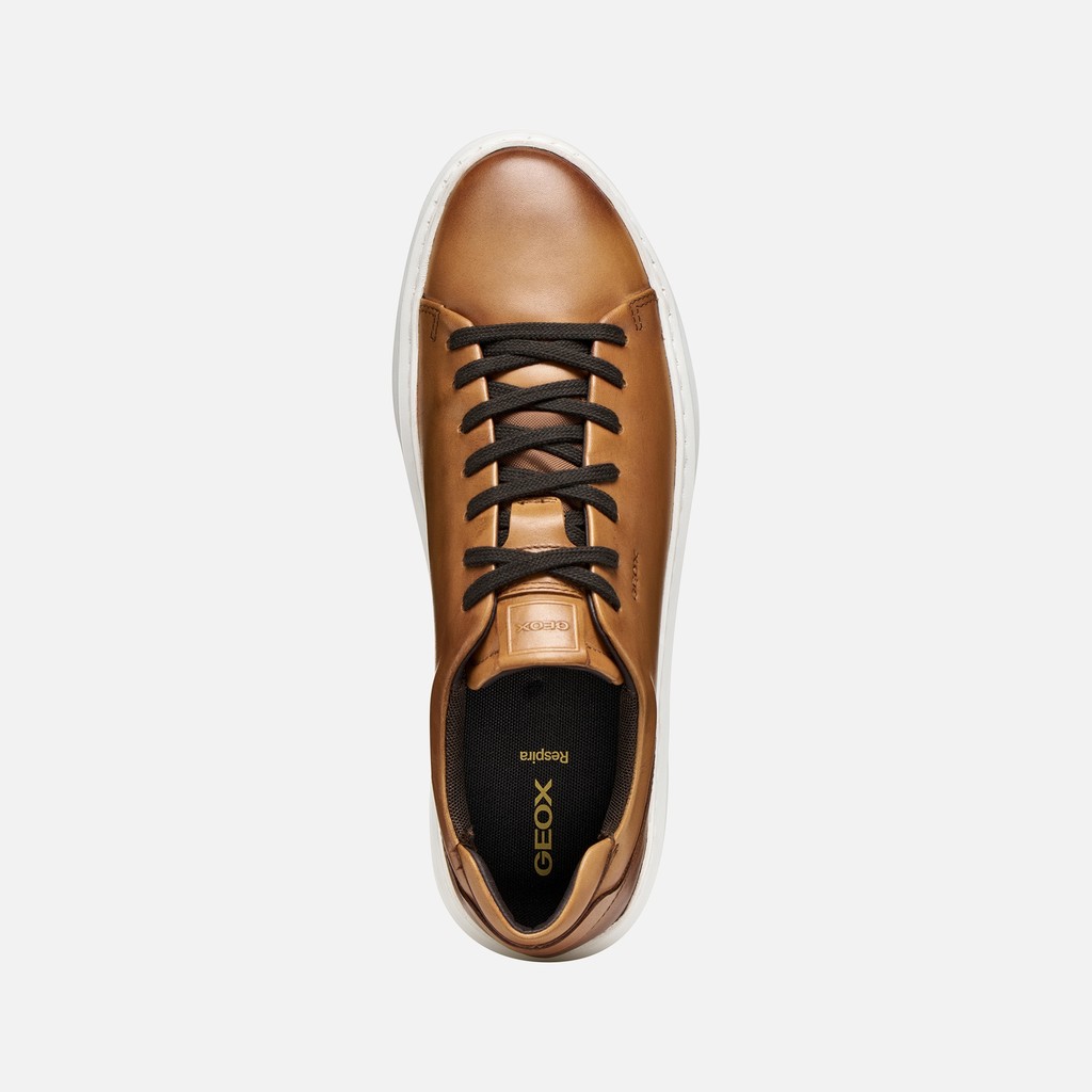 Leather shoes DEIVEN MAN Light Brown - image number 5 | GEOX