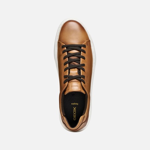 Leather shoes DEIVEN MAN Light Brown - image number 5 | GEOX