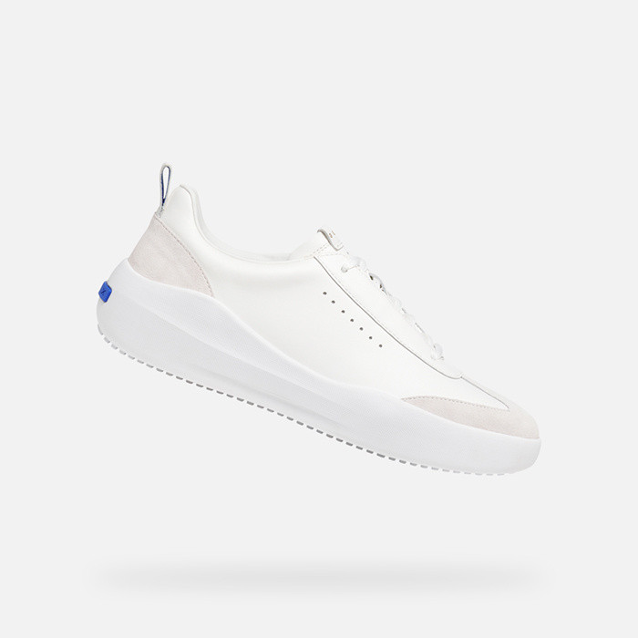 Low top sneakers GXCP-02 MAN White/Off White | GEOX