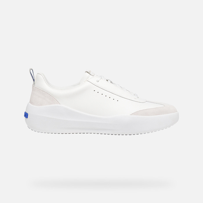 Low top sneakers GXCP-02 MAN White/Off White | GEOX
