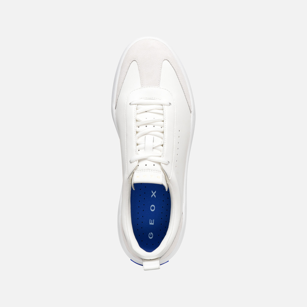 Low top sneakers GXCP-02 MAN White/Off White - image number 5 | GEOX
