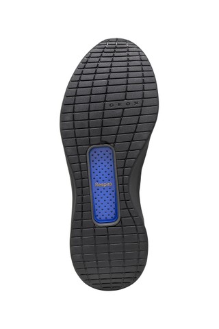 Baskets en cuir GXRN-01 HOMME Noir - image number 6 | GEOX