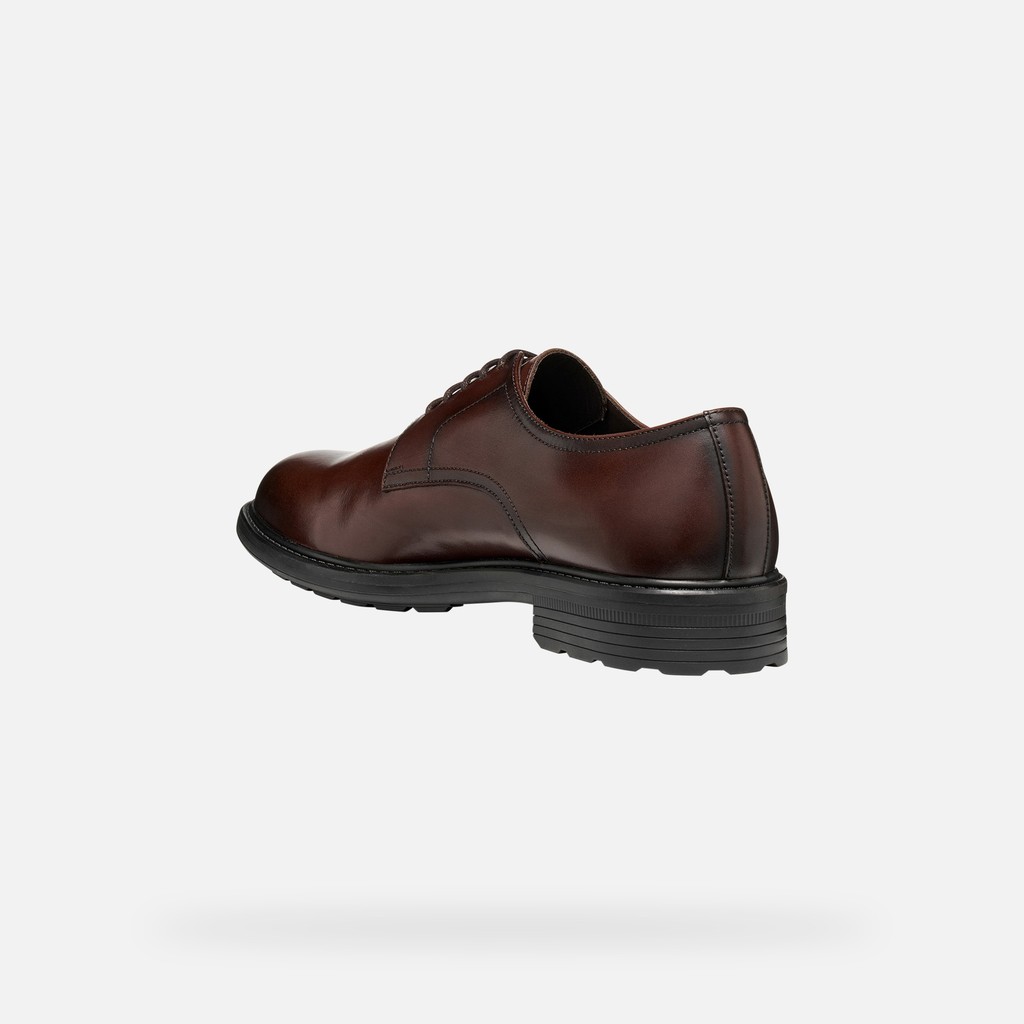 Lace up dress shoes WALK PLEASURE B MAN Coffee - image number 3 | GEOX