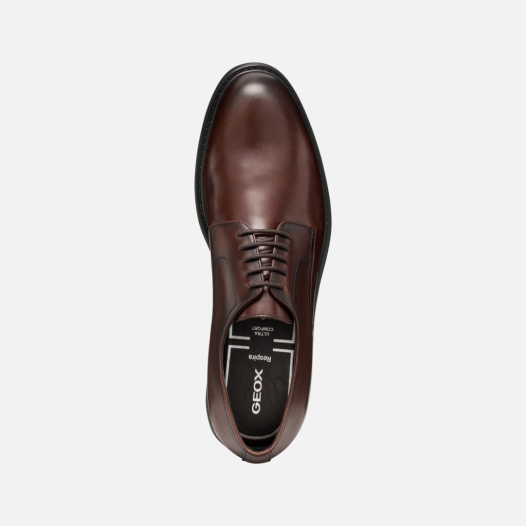 Lace up dress shoes WALK PLEASURE B MAN Coffee - image number 5 | GEOX