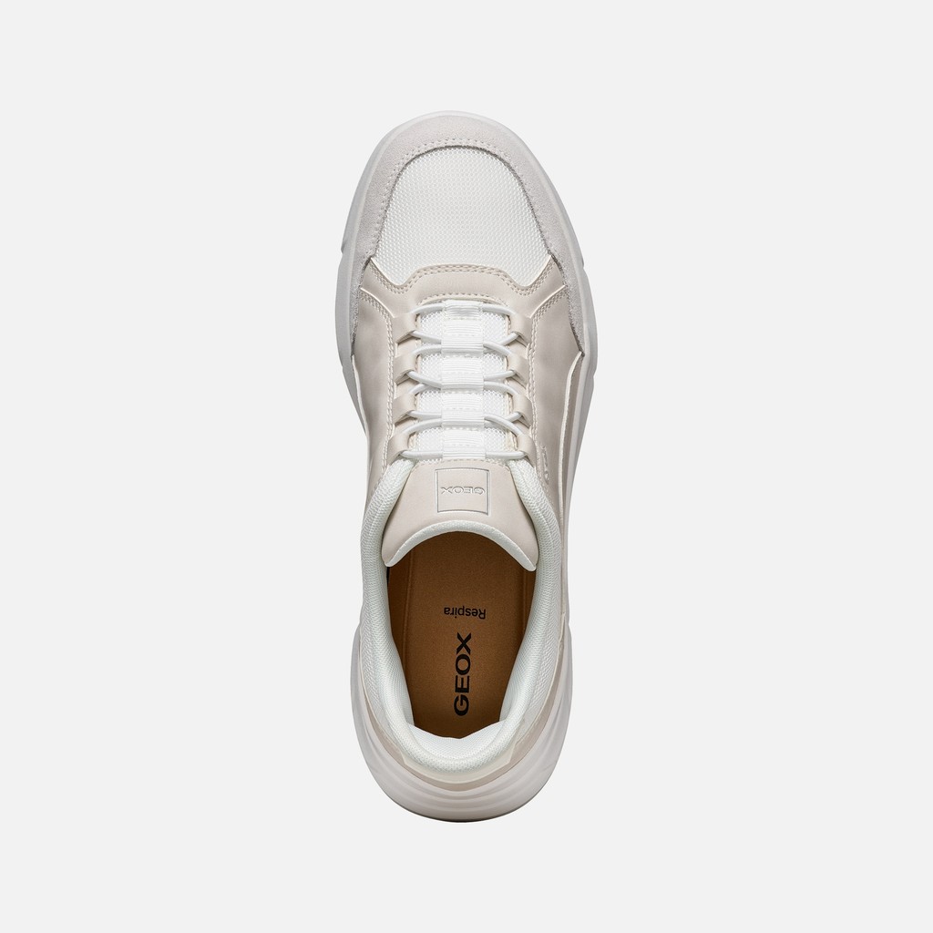 Sneaker slip in VITTOUR PLUS UOMO Bianco/Bianco latte - image number 5 | GEOX