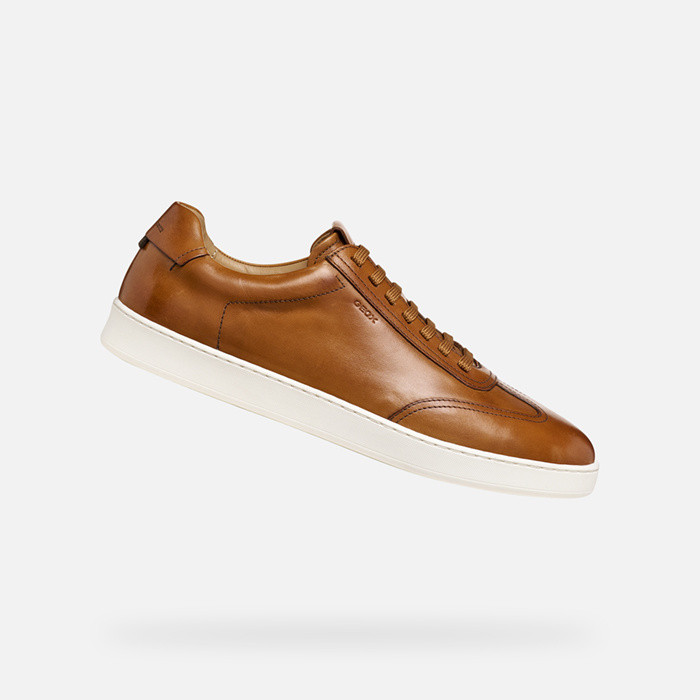 Leather shoes REGIO MAN Cognac | GEOX