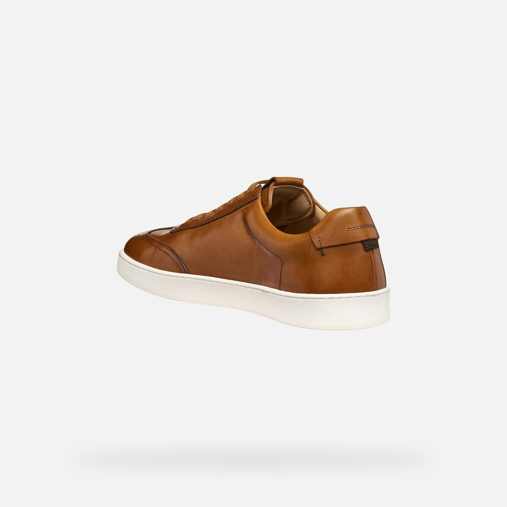 Leather shoes REGIO MAN Cognac - image number 3 | GEOX