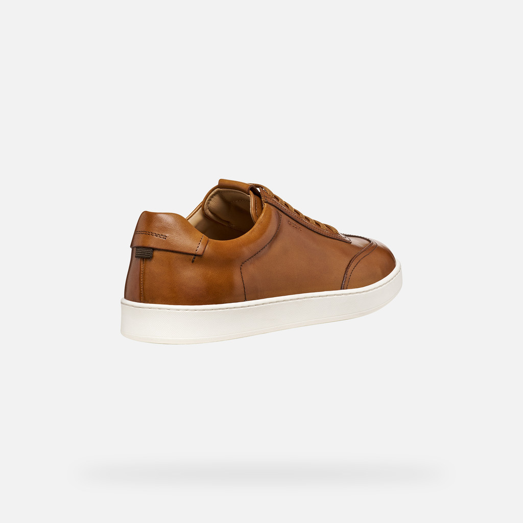 Leather shoes REGIO MAN Cognac - image number 4 | GEOX