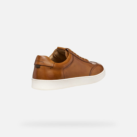 Leather shoes REGIO MAN Cognac - image number 4 | GEOX