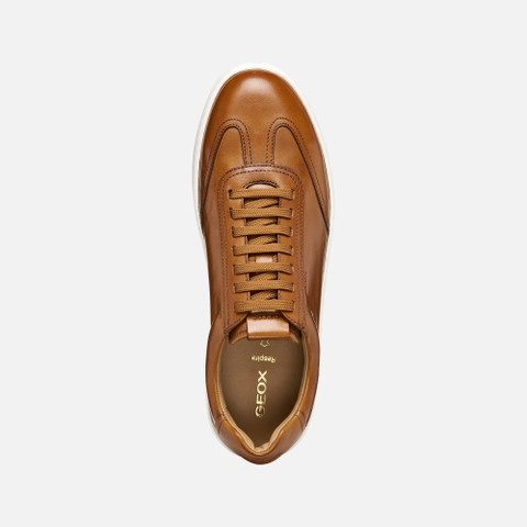 Leather shoes REGIO MAN Cognac - image number 5 | GEOX