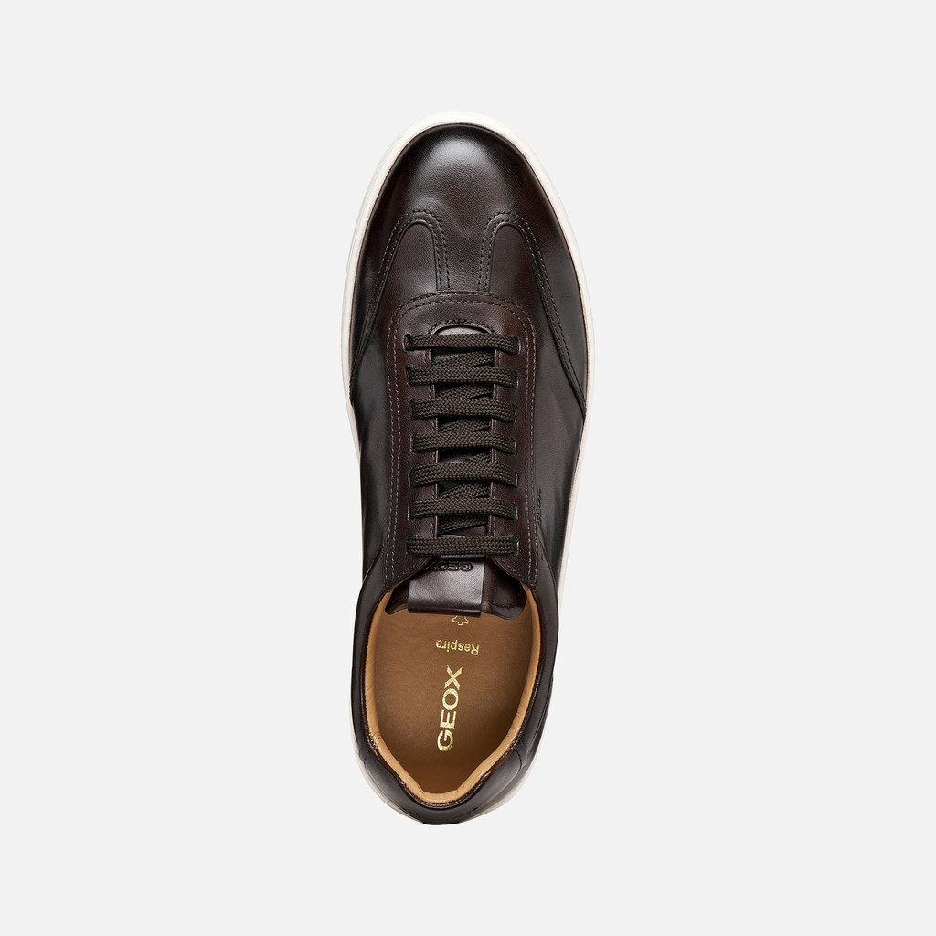 Leather shoes REGIO MAN Coffee - image number 5 | GEOX