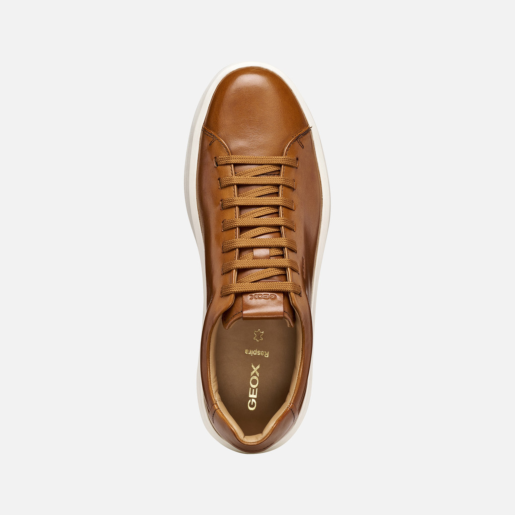 Leather shoes VELLETRI MAN Cognac - image number 5 | GEOX