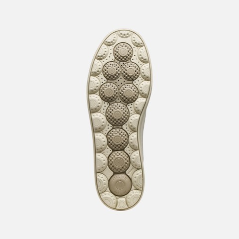 Low top sneakers SPHERICA ECUB-1 B MAN Papyrus - image number 6 | GEOX