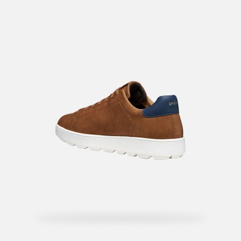 Low top sneakers SPHERICA ECUB-1 B MAN Light Brown - image number 3 | GEOX
