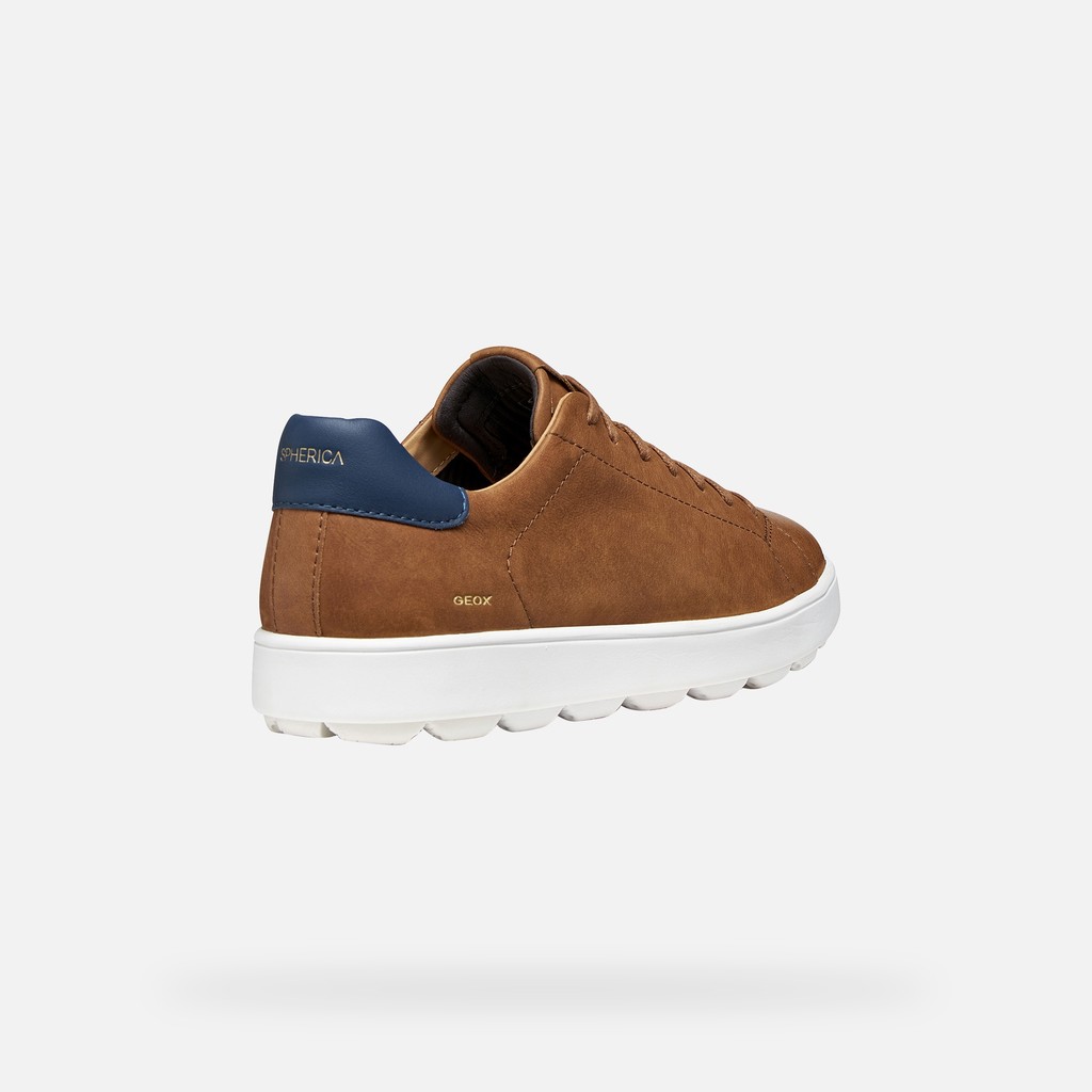 Low top sneakers SPHERICA ECUB-1 B MAN Light Brown - image number 4 | GEOX