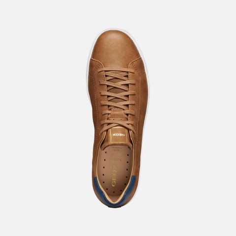 Low top sneakers SPHERICA ECUB-1 B MAN Light Brown - image number 5 | GEOX