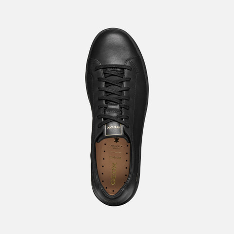 Low top sneakers SPHERICA ECUB-1 B MAN Black - image number 5 | GEOX