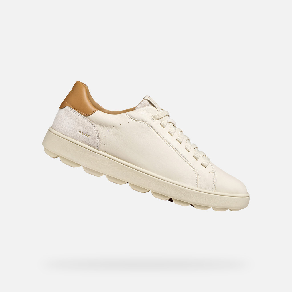 Low top sneakers SPHERICA ECUB-1 B MAN Papyrus - image number 0 | GEOX