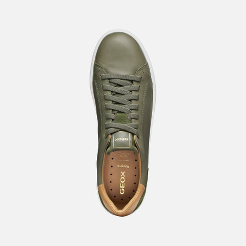 Low top sneakers SPHERICA ECUB-1 B MAN Musk - image number 5 | GEOX