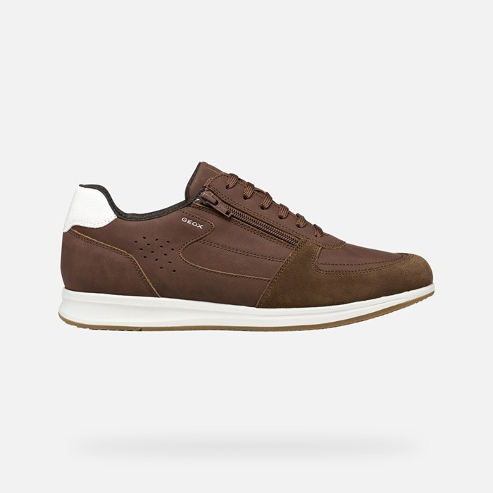 Low top sneakers AVERY MAN Brown cotto | GEOX