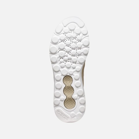 Low top sneakers SPHERICA ACTIF X1 MAN Sand - image number 6 | GEOX