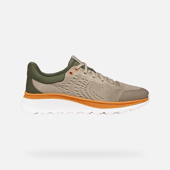 Low top sneakers SPHERICA ACTIF X1 MAN Sand/Dove grey | GEOX