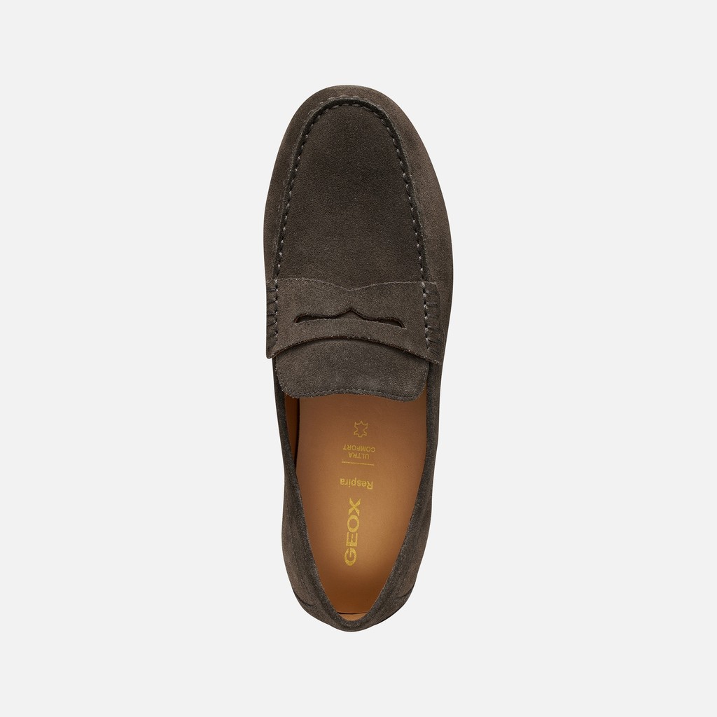 Suede loafers SPHERICA EC16 MAN Dark Brown - image number 5 | GEOX