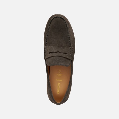 Suede loafers SPHERICA EC16 MAN Dark Brown - image number 5 | GEOX