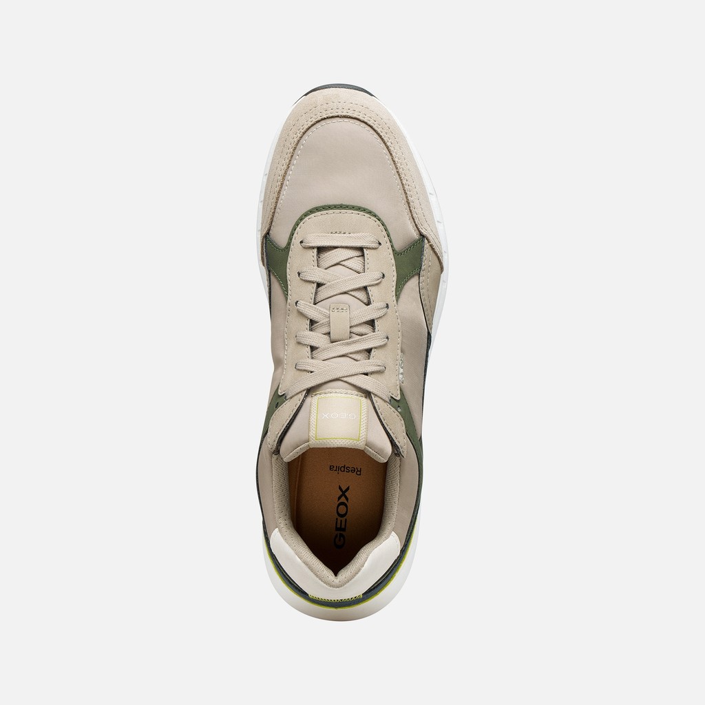 Low top sneakers BRANTHON MAN Musk/Sand - image number 5 | GEOX