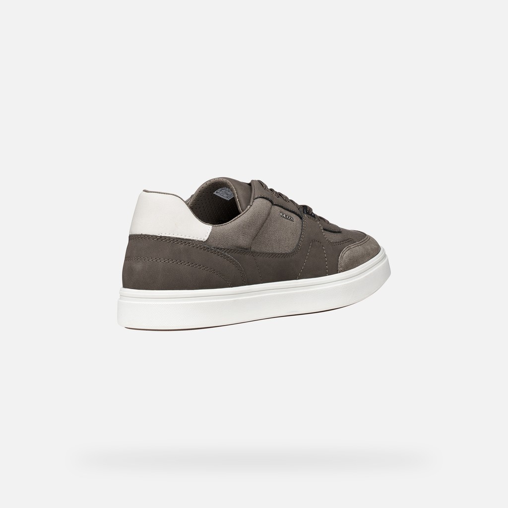 Low top sneakers BALTMOORE MAN Dove grey - image number 6 | GEOX