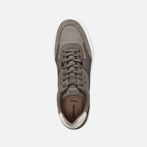 Low top sneakers BALTMOORE MAN Dove grey - image number 7 | GEOX