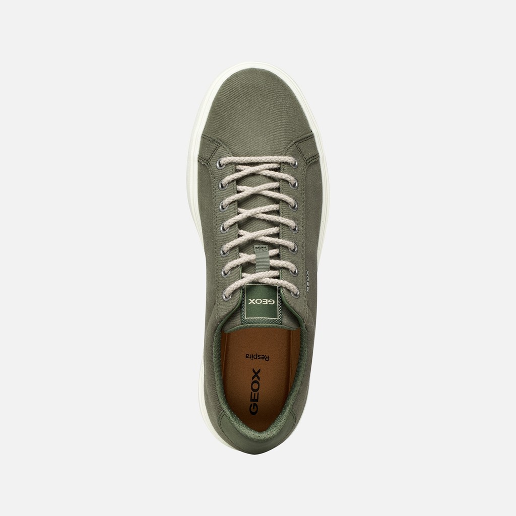 Low top sneakers BALTMOORE MAN Light Olive Green - image number 5 | GEOX