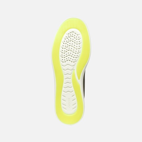 Low top sneakers BALTMOORE MAN Light Olive Green - image number 6 | GEOX