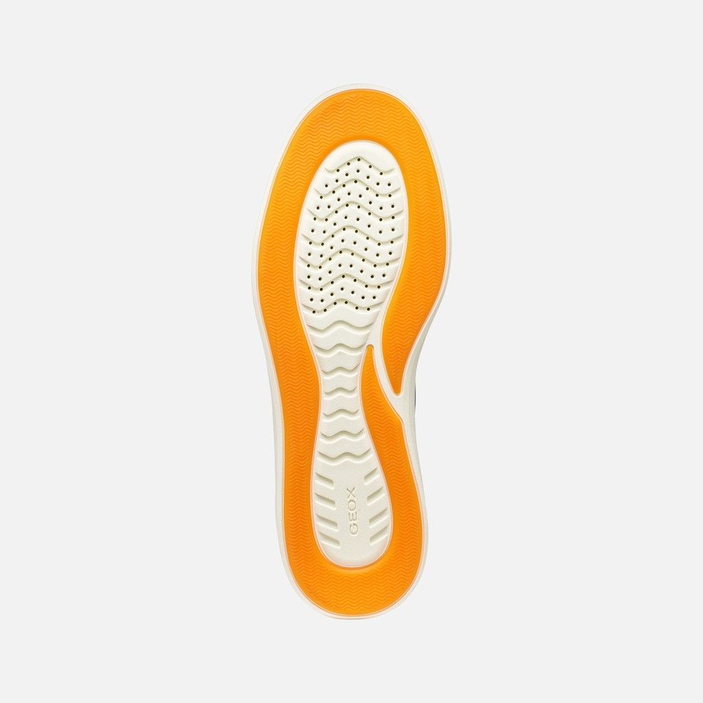 Low top sneakers BALTMOORE MAN Navy - image number 6 | GEOX