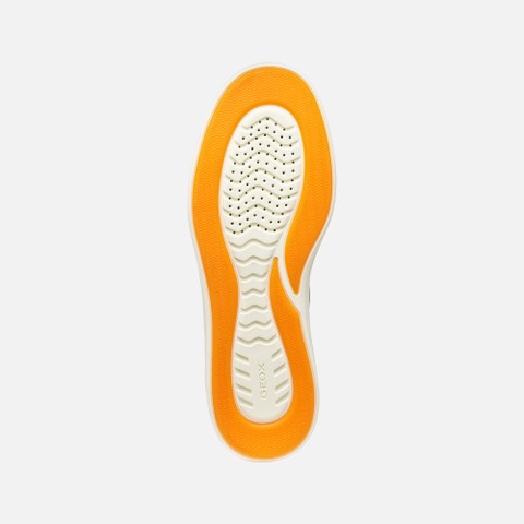 Low top sneakers BALTMOORE MAN Navy - image number 6 | GEOX