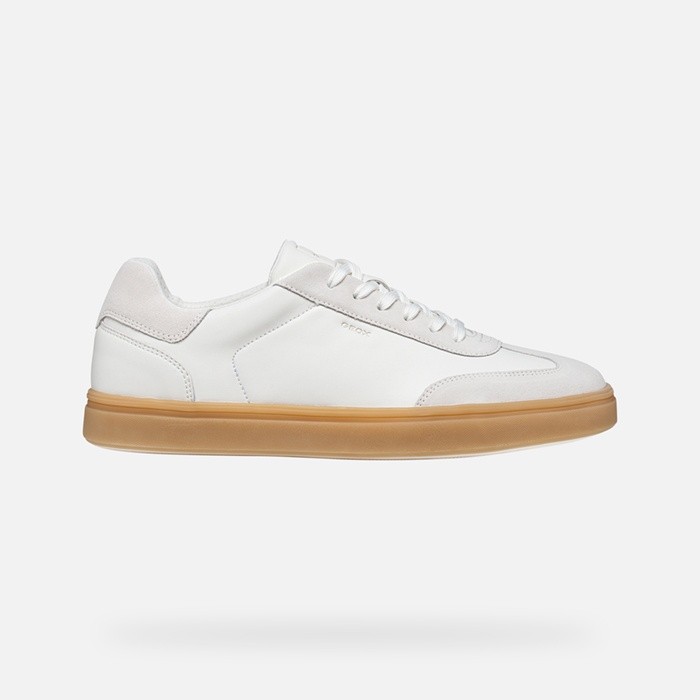 Low top sneakers BALTMOORE MAN White/Off White | GEOX