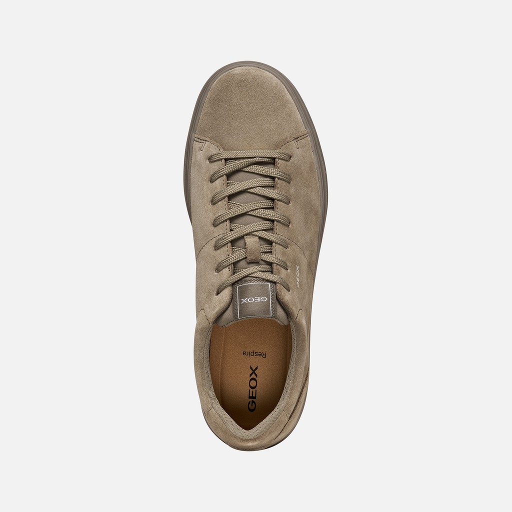 Low top sneakers BALTMOORE MAN Dove Gray/Taupe - image number 6 | GEOX