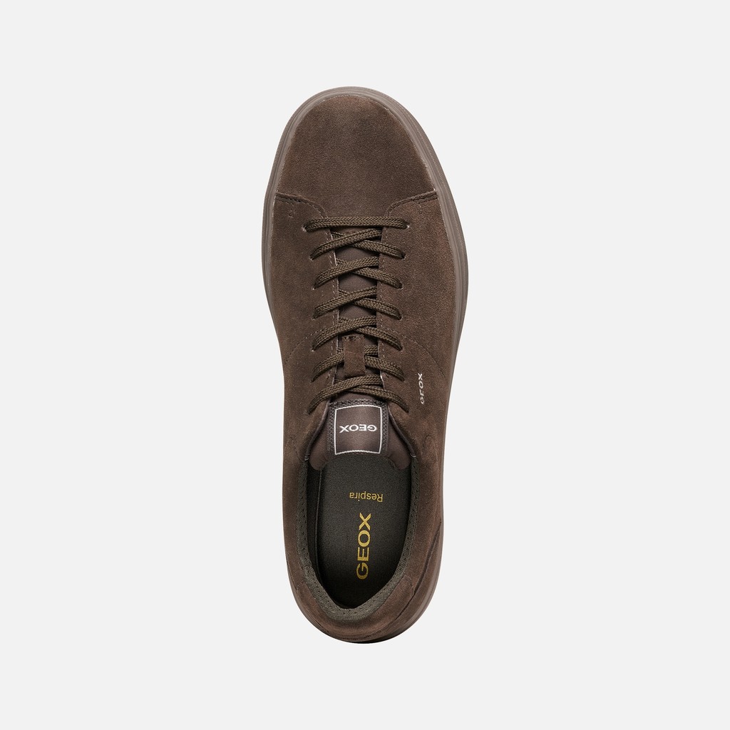 Low top sneakers BALTMOORE MAN Chocolate - image number 5 | GEOX
