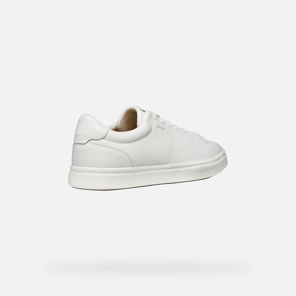 Sneakers basse BALTMOORE UOMO Bianco - image number 4 | GEOX