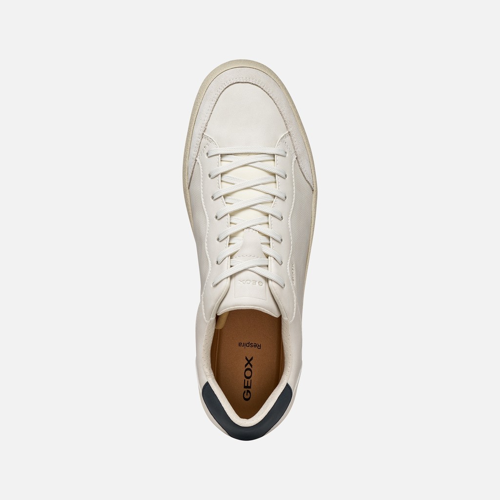 Low top sneakers SERIFOS MAN Off White/Navy - image number 5 | GEOX