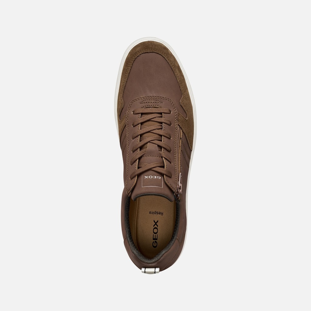 Low top sneakers SERIFOS MAN Brown cotto - image number 5 | GEOX