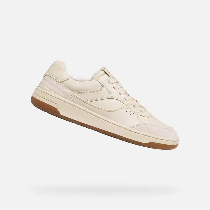 Low top sneakers SEDRAL COURT MAN Papyrus/Light sand | GEOX