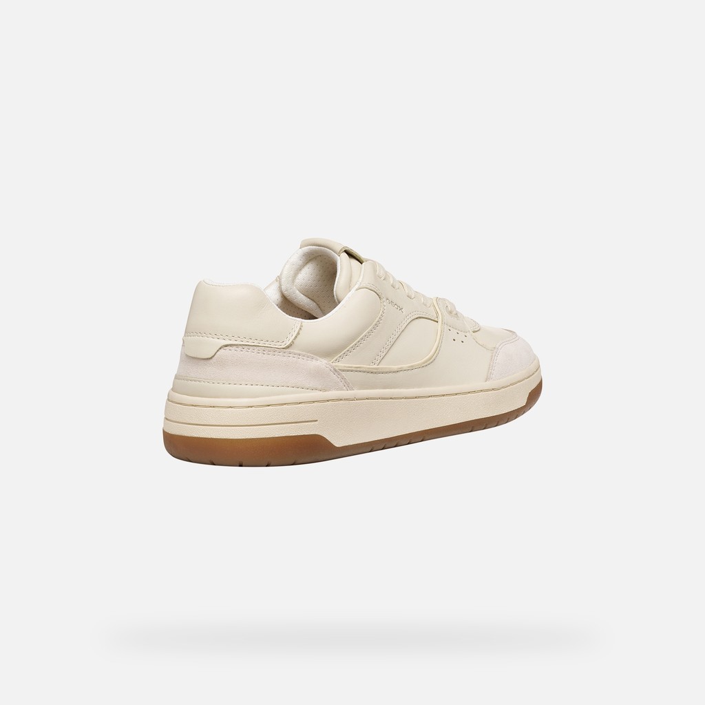 Low top sneakers SEDRAL COURT MAN Papyrus/Light sand - image number 4 | GEOX