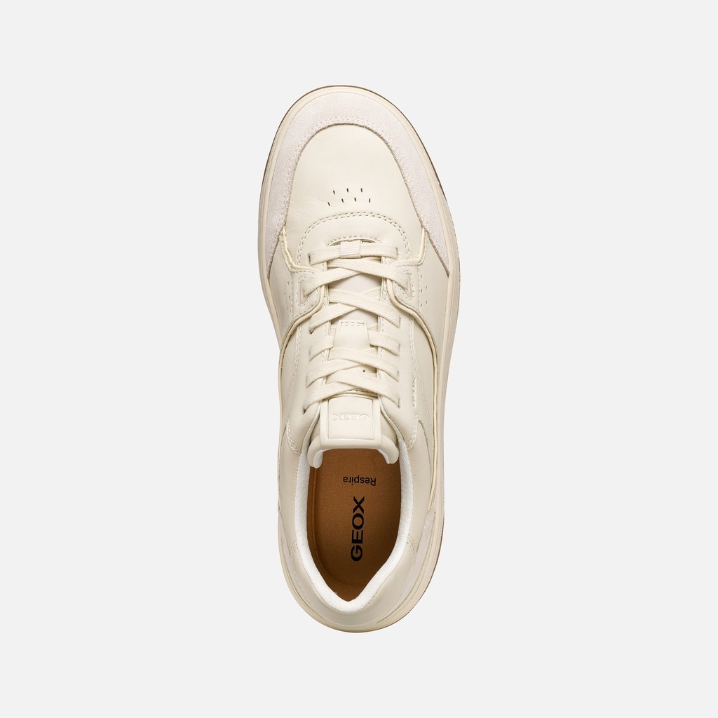 Low top sneakers SEDRAL COURT MAN Papyrus/Light sand - image number 5 | GEOX
