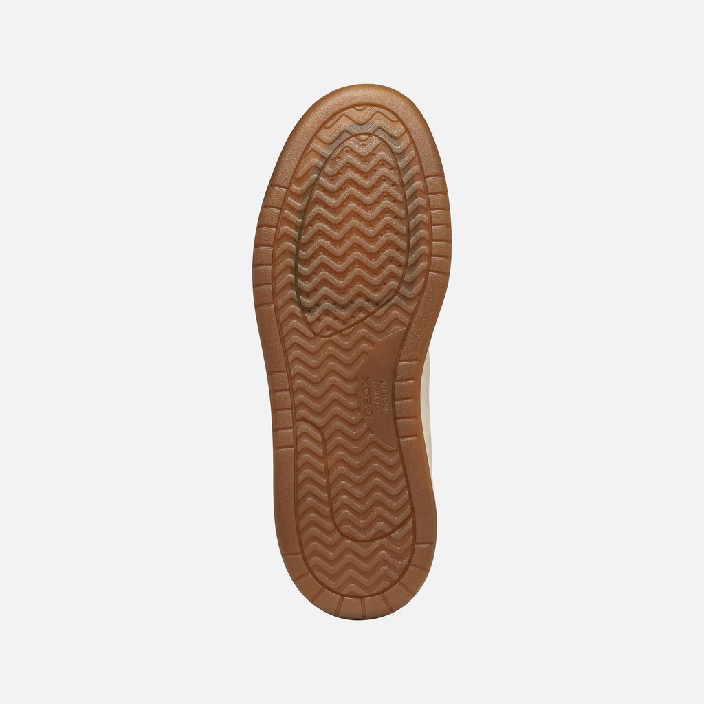 Low top sneakers SEDRAL COURT MAN Papyrus/Light sand - image number 6 | GEOX