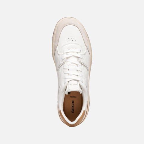 Low top sneakers SEDRAL COURT MAN White/Tan - image number 5 | GEOX