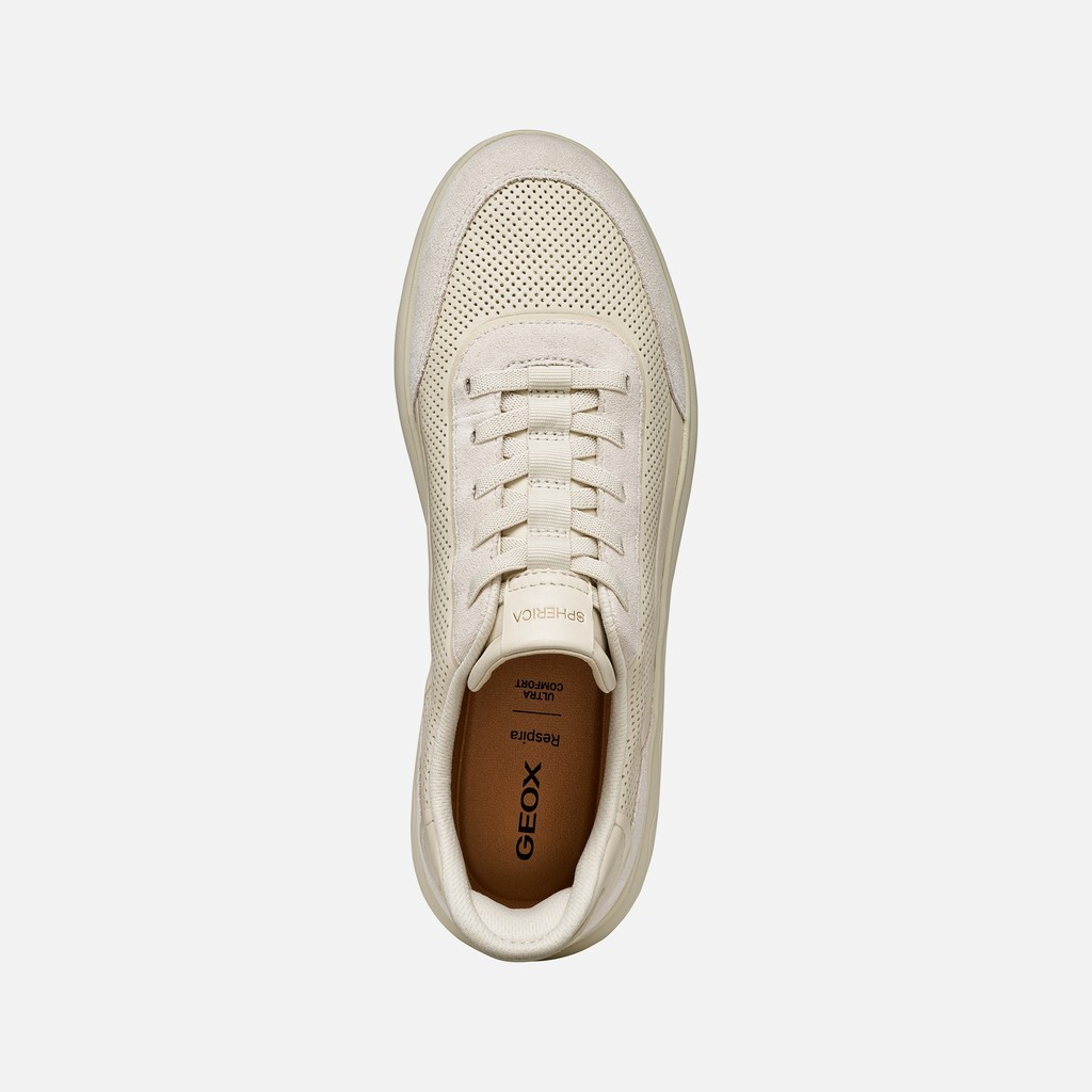 Slip in sneakers SPHERICA PLUS MAN Papyrus - image number 5 | GEOX