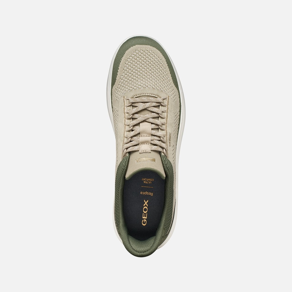 Slip in sneakers SPHERICA PLUS MAN Olive/Sand - image number 5 | GEOX