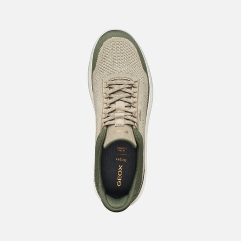 Slip in sneakers SPHERICA PLUS MAN Olive/Sand - image number 5 | GEOX