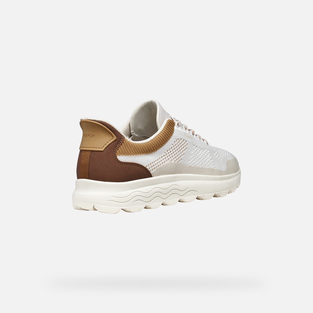 Slip in sneakers SPHERICA PLUS MAN Off White/Brown - image number 4 | GEOX